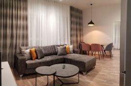 Ali Dem jepet me qira apartament 1+1, Bérlés