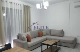 Apartament 1+1 me qira ne rrugen "Frosina Pla, Bérlés