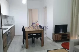 Apartament 1+1 me qira ne rrugen "Frosina Pla, Location