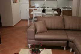 APARTAMENT 1+1 Liqeni i Thate TIRANE, Ενοικίαση