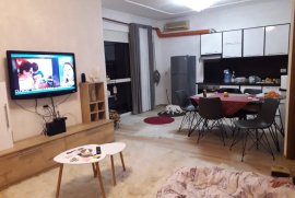 APARTAMENT 2+1 PER QIRA TEK KOPSHTI ZOOLOGJIK, Qera