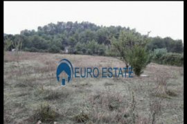 Tirane, shes truall 2.800 m² ,159.000 Eur (PRUSH), Industriale