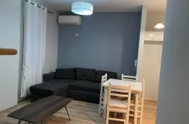 Apartament 1+1 me qira prane Kopshtit Botanik, Qera