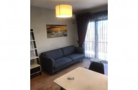 APARTAMENT 1+1 ME QIRA TE KOPSHTI ZOOLOGJIK, Location