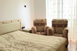 Apartament 2+1 te Mine Peza (Zone Perfekte), Affitto