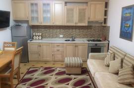 apartament me qera ne qender te tiranes, Ενοικίαση