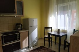 APARTAMENT 1+1 PER QIRA , PALLATET AGIMI , Location