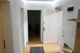 APARTAMENT 1+1 ME QIRA, TRENI , Affitto