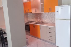 Jepet me qera apartament 1+1 Kopshti Zologjik , Location