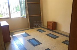 Tek Kopshti Zoologjik Jepet Me Qira Apartament 1+1, Alquiler