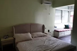 Apartament 2 + 1 me qira Kopshti Botanik, Affitto