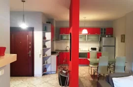 Apartament 1+1 me qira ne zonen e Tvsh ne Tirane, Ενοικίαση