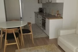 Apartament 1+1 me qira 21-dhjetori, Affitto