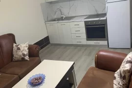 Apartament 2+1 me qira  tek Rruga Besi, Miete