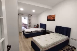 Apartament 2+1 me qira ish ekspozita, Alquiler