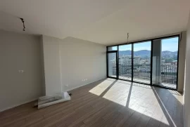 Lake View, apartament 1+1 me qira, Miete