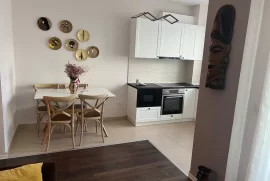 Apartament me qira tek Kopshti Zoologjik , Affitto