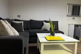 Jepet me qira APARTAMENT 1+1 Riza Cerova, Ενοικίαση