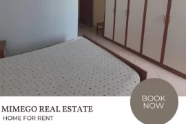 Apartament 2+1 me qira Tregu Elektrik, Ενοικίαση